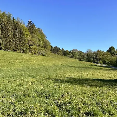 Smart 2 Bb2 326 Winterberg